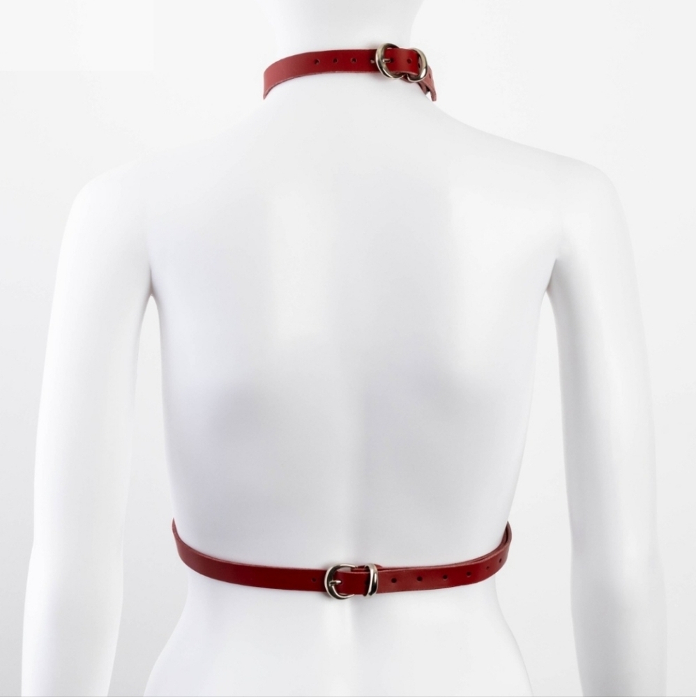 Red Leather Harness - Picture 2 of 6